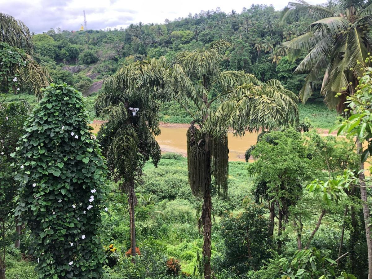 Kandy Rivers Edge Nature Resort Eksteriør bilde