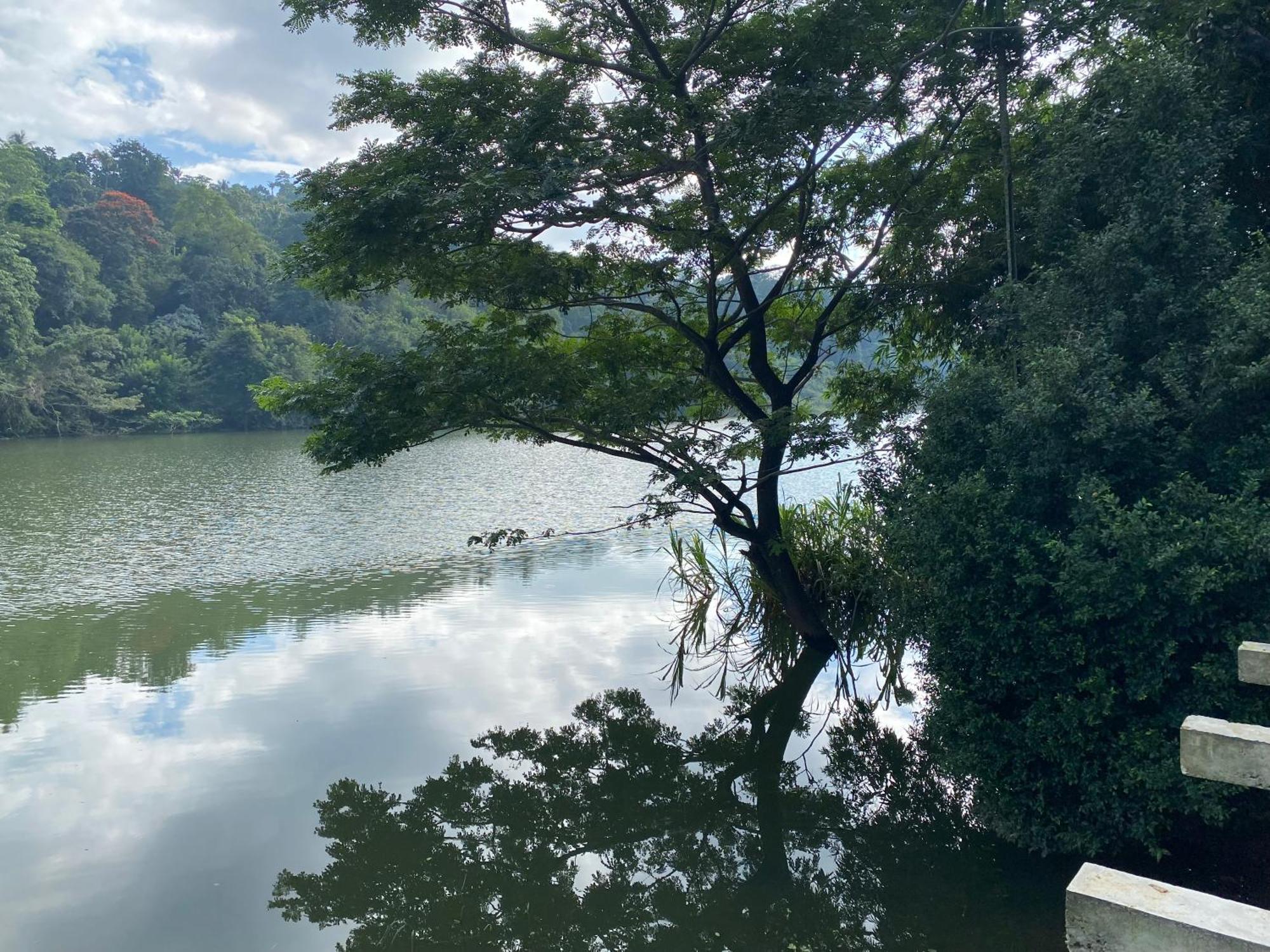 Kandy Rivers Edge Nature Resort Eksteriør bilde