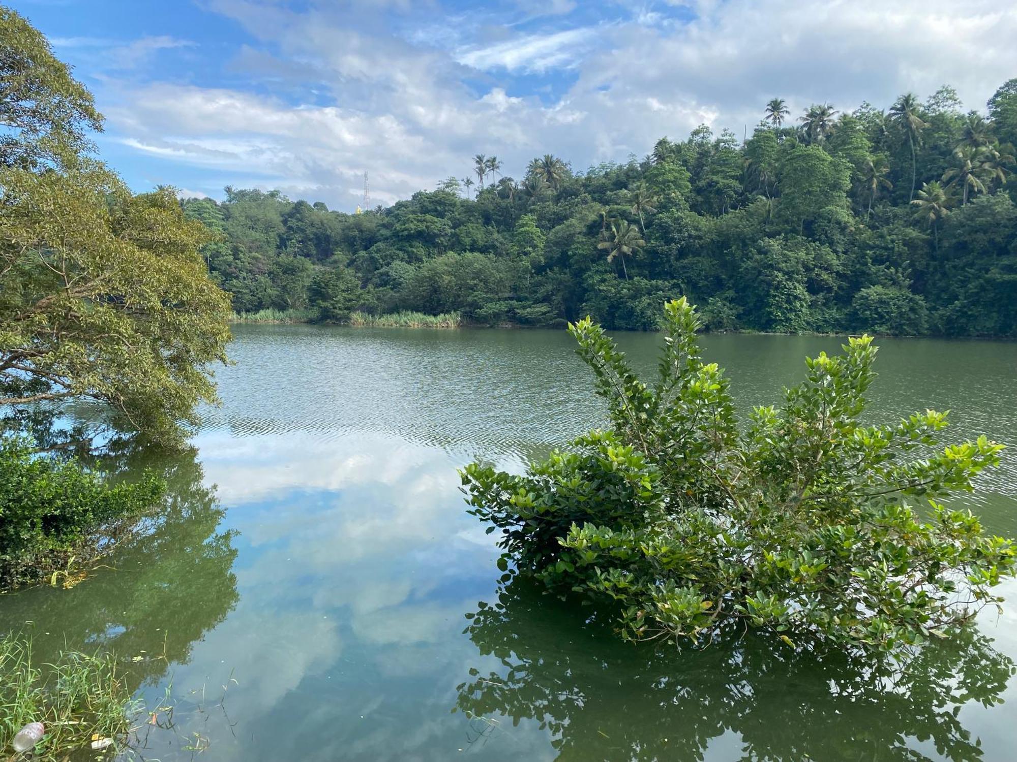 Kandy Rivers Edge Nature Resort Eksteriør bilde