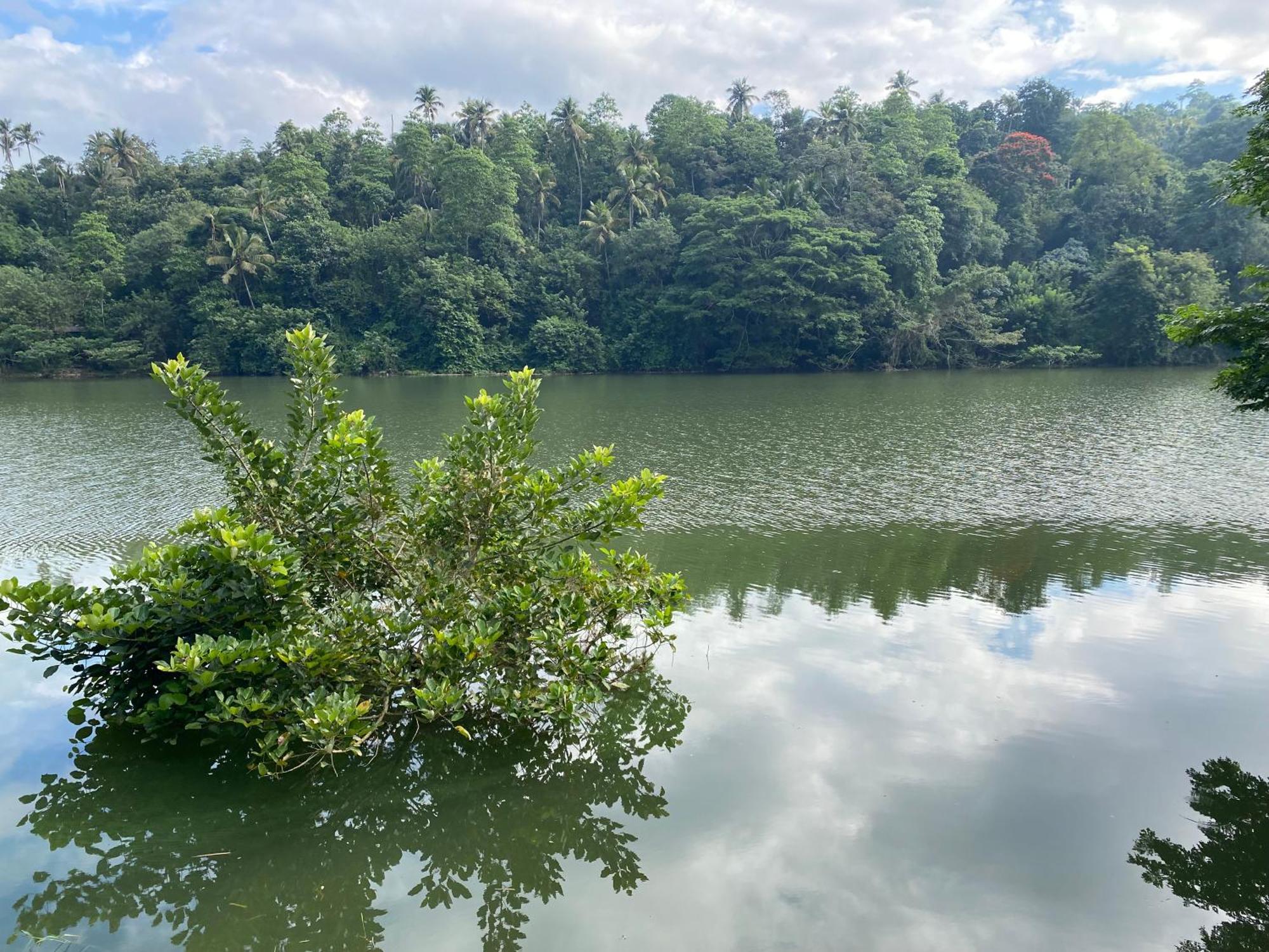 Kandy Rivers Edge Nature Resort Eksteriør bilde